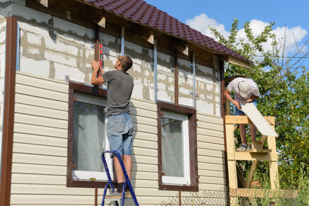 Best Custom Siding Design  in Kingsport, TN
