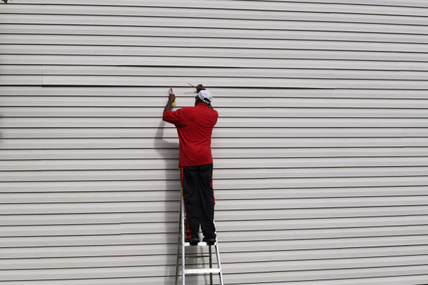 Best Stucco Siding  in Kingsport, TN