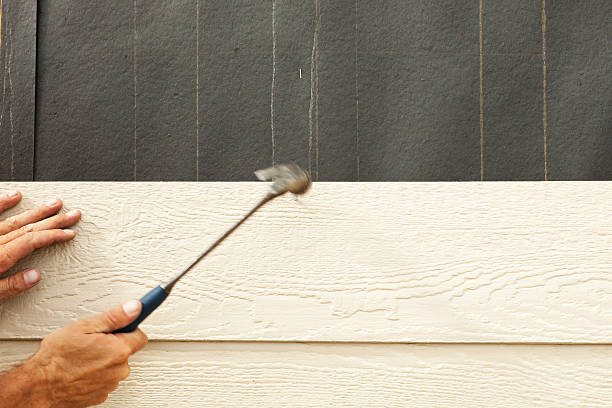 Best Siding Removal and Disposal  in Kingsport, TN